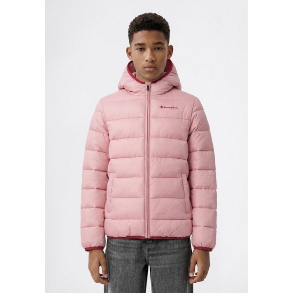 Champion Steppjacke SPORTWEAR JACKET Standard Fit mit verstellbarer Kapuze, Standard Fit