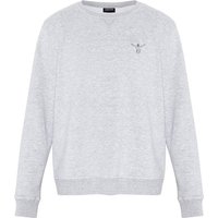 CHIEMSEE Sweatshirt mit großem Logo-Rückenprint, Größe S in Grau