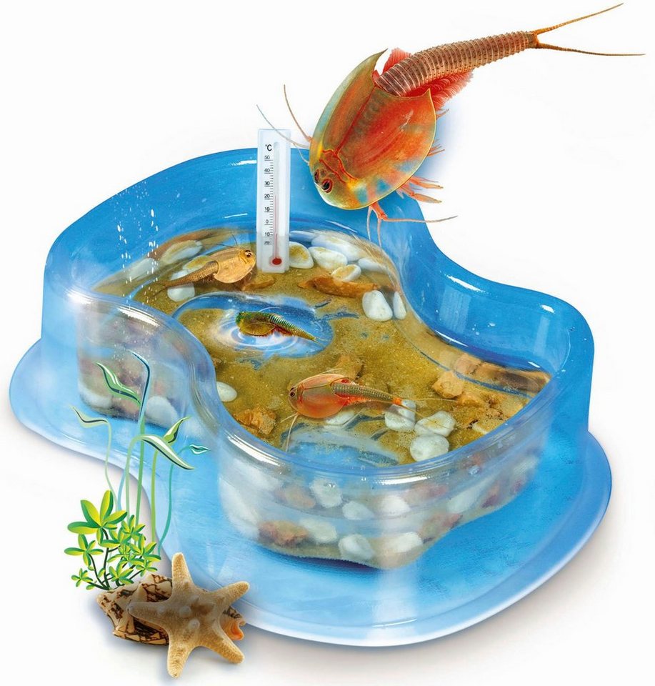 Clementoni® Experimentierkasten Galileo, Original Triops Starter-Set, Made in Europe – Bild 3 von 5
