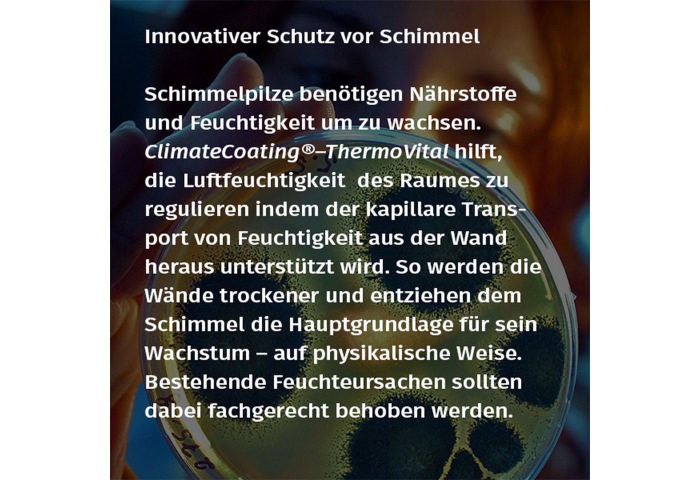 ClimateCoating Wand- und Deckenfarbe ThermoVital, feuchteregulierend, vorbeugend gegen Schimmelpilzwachstum – Bild 2 von 4