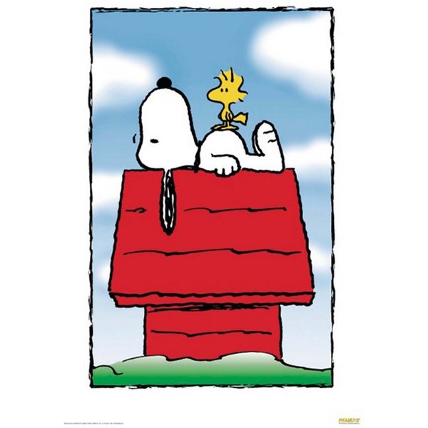 Close Up Poster Peanuts Poster 68,5 x 101,5 cm