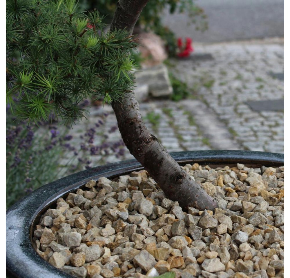 CM-Gartendesign Stein Vanilla Sun Splitt, (8/16mm, gelblich), 20kg – Bild 4 von 5