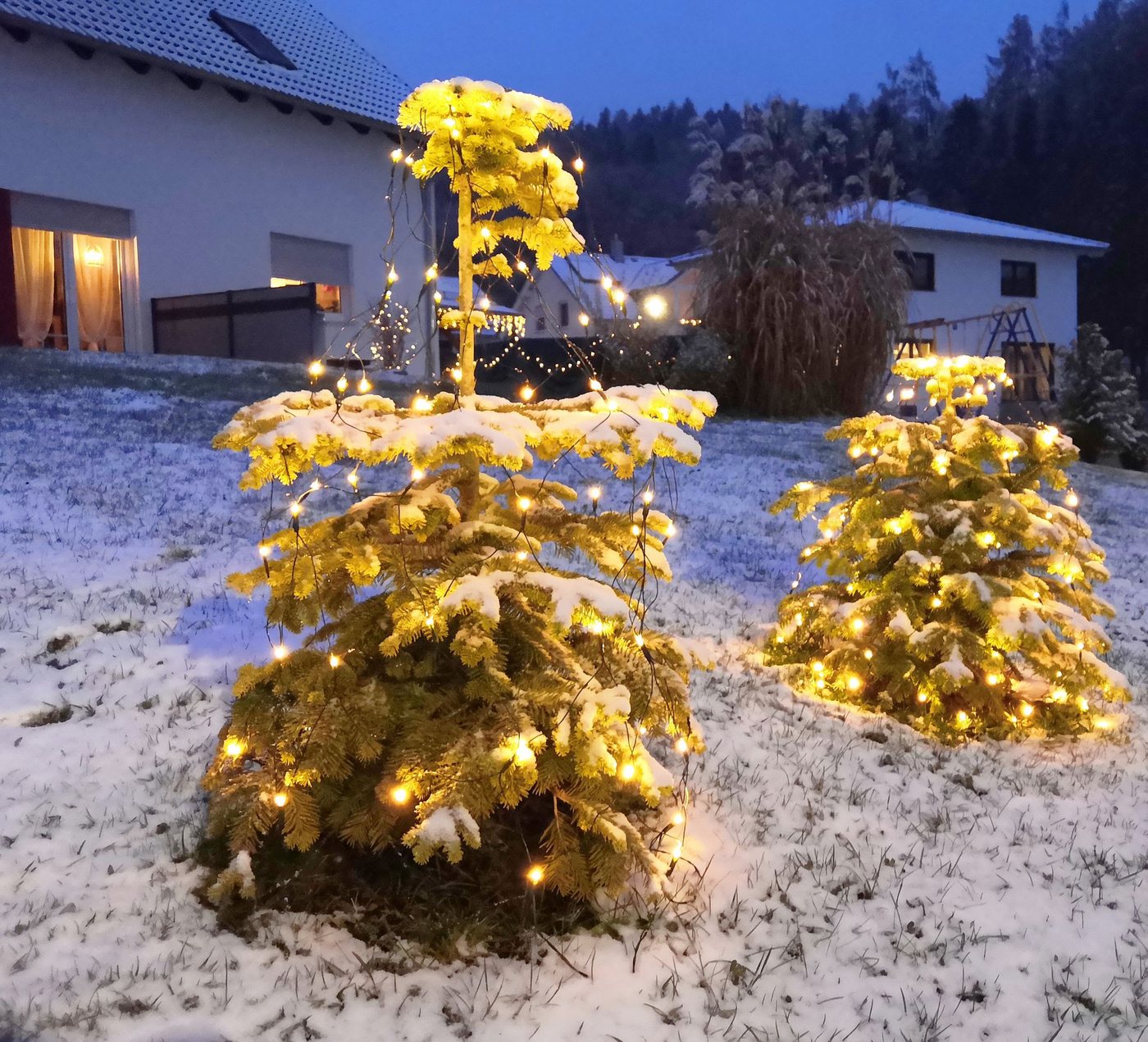 Coen Bakker Deco BV LED-Lichternetz LED Lichternetz Trapez Kegel Warmweiß Netz für Weihnachtsbaum Baum, 80-flammig, 80 LEDs geeignet für Bäume mit einer Höhe vo – Bild 4 von 5