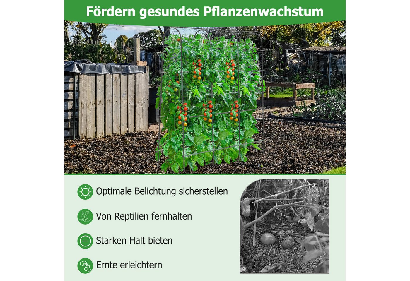 COSTWAY Rankhilfe, Rankgitter mit Netz, für Kletterpflanzen, 179 x 32-65 x 180 cm – Bild 4 von 5