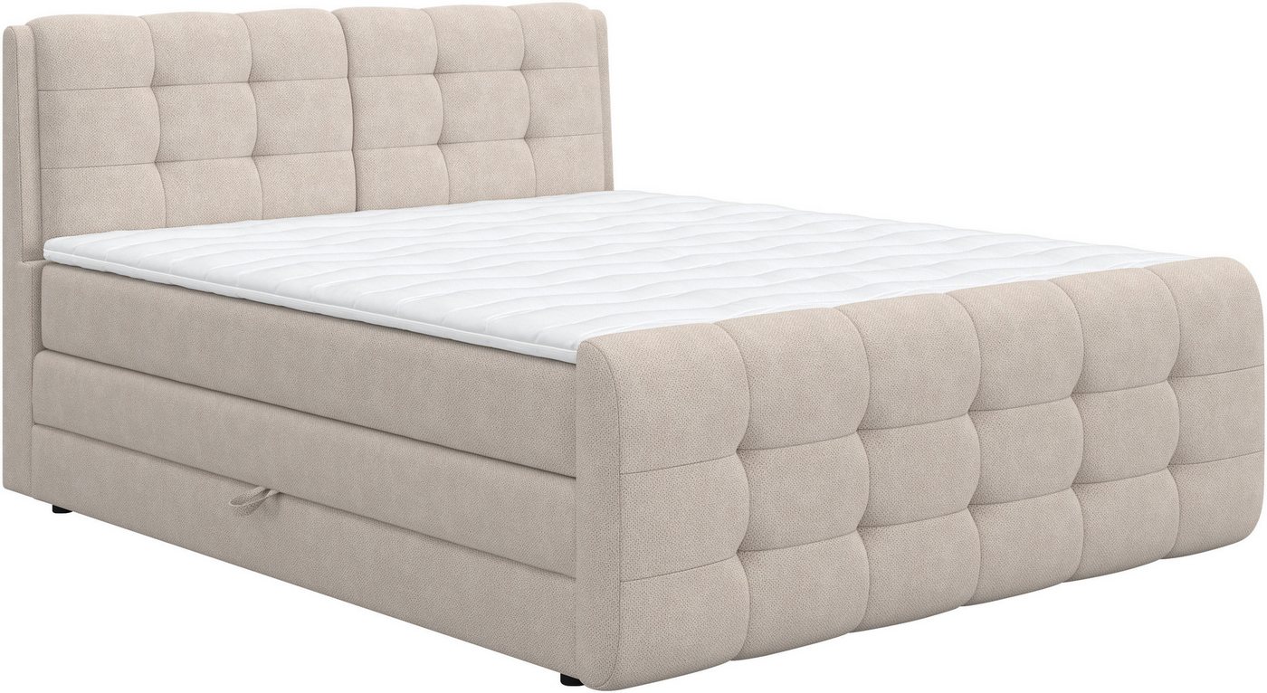 COTTA Boxspringbett FORT, Stauraumbett mit Bettkasten & 7-Zonen-TTFK-Matratze H2-H4, erhältlich in verschiedenen Breiten (160cm, 180cm & 200cm) – Bild 2 von 5