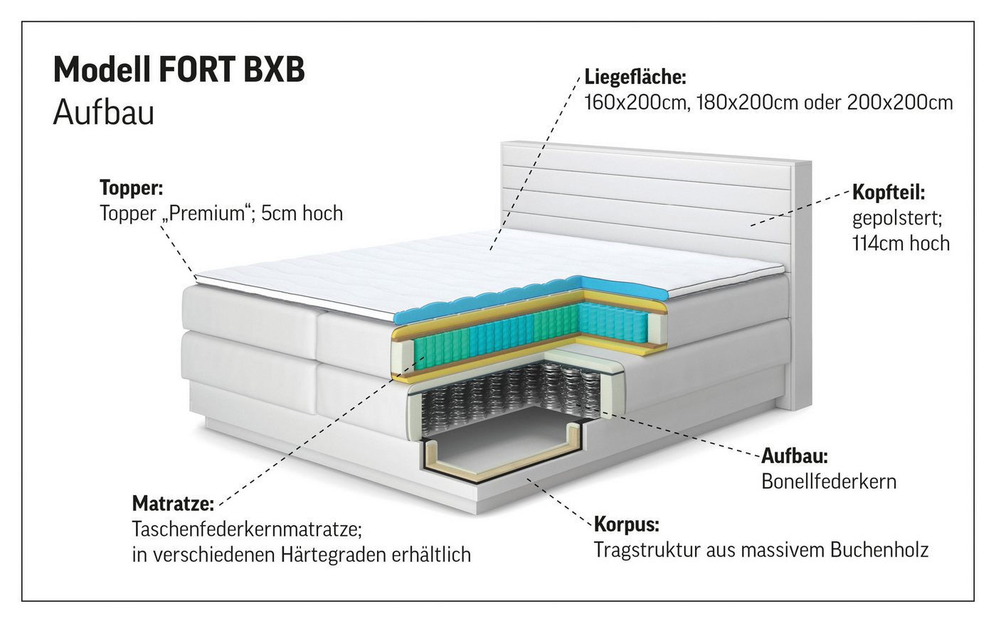 COTTA Boxspringbett FORT, Stauraumbett mit Bettkasten & 7-Zonen-TTFK-Matratze H2-H4, erhältlich in verschiedenen Breiten (160cm, 180cm & 200cm) – Bild 4 von 5