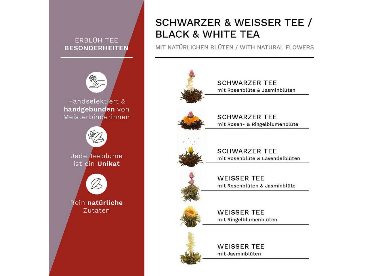 Creano Tee Geschenkset mit Glaskanne 500ml Weißtee & Schwarztee mit 6 Teekugeln, 1 x 6 St. – Bild 3 von 5