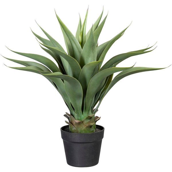 Künstliche Zimmerpflanze Agave Agave, Creativ green, Höhe 57 cm