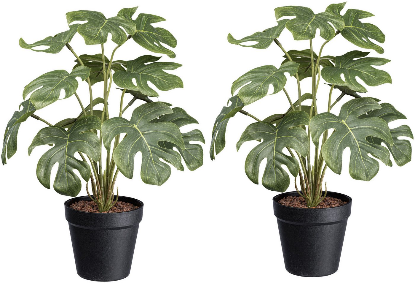 Künstliche Zimmerpflanze Splitphilodendron Grünpflanze, Creativ green, Höhe 38 cm, mit schönen Blättern – Bild 2 von 3