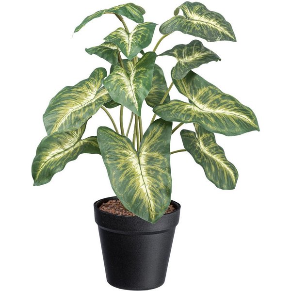 Künstliche Zimmerpflanze Syngonium Pixie Grünpflanze, Creativ green, Höhe 38 cm, mit grüngelben Blättern