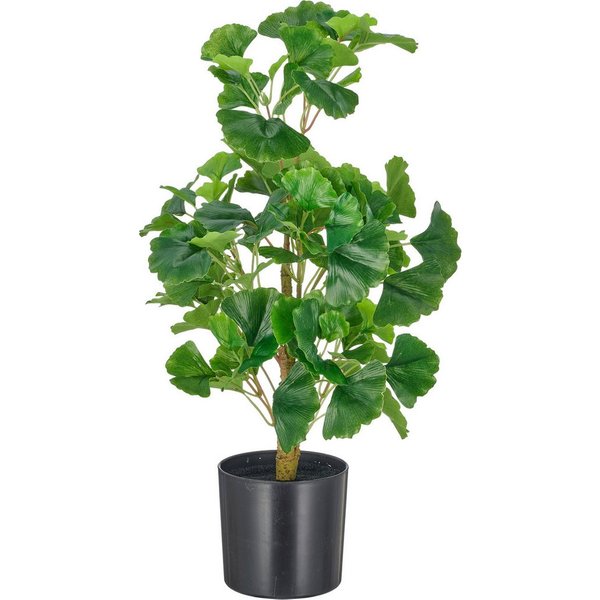 Kunstbambus Gingko biloba, Creativ green, Höhe 53 cm, mit naturgetreuem Blattwerk