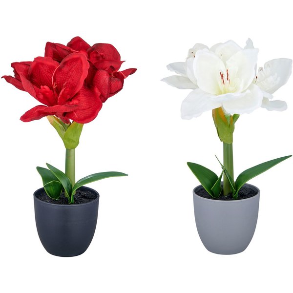 Kunstblume Amaryllis, Creativ green, Höhe 35 cm, mit traumhaft schöner Blüte