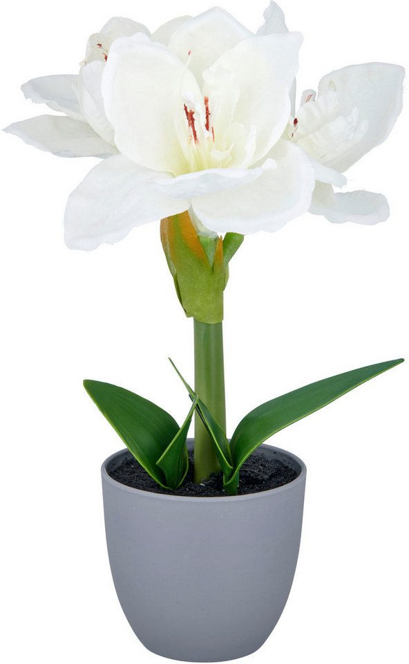 Kunstblume Amaryllis, Creativ green, Höhe 35 cm, mit traumhaft schöner Blüte – Bild 2 von 5