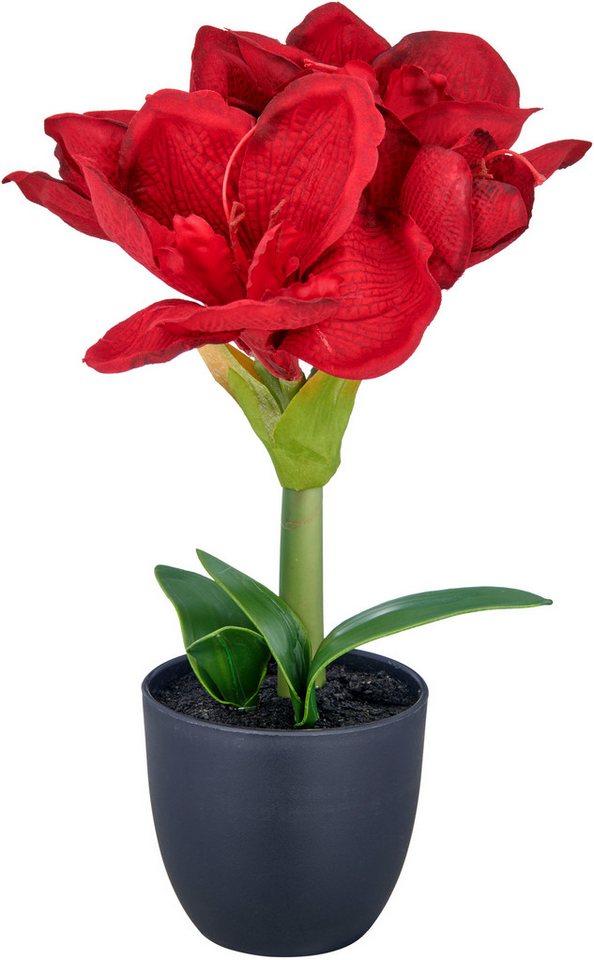 Kunstblume Amaryllis, Creativ green, Höhe 35 cm, mit traumhaft schöner Blüte – Bild 3 von 5