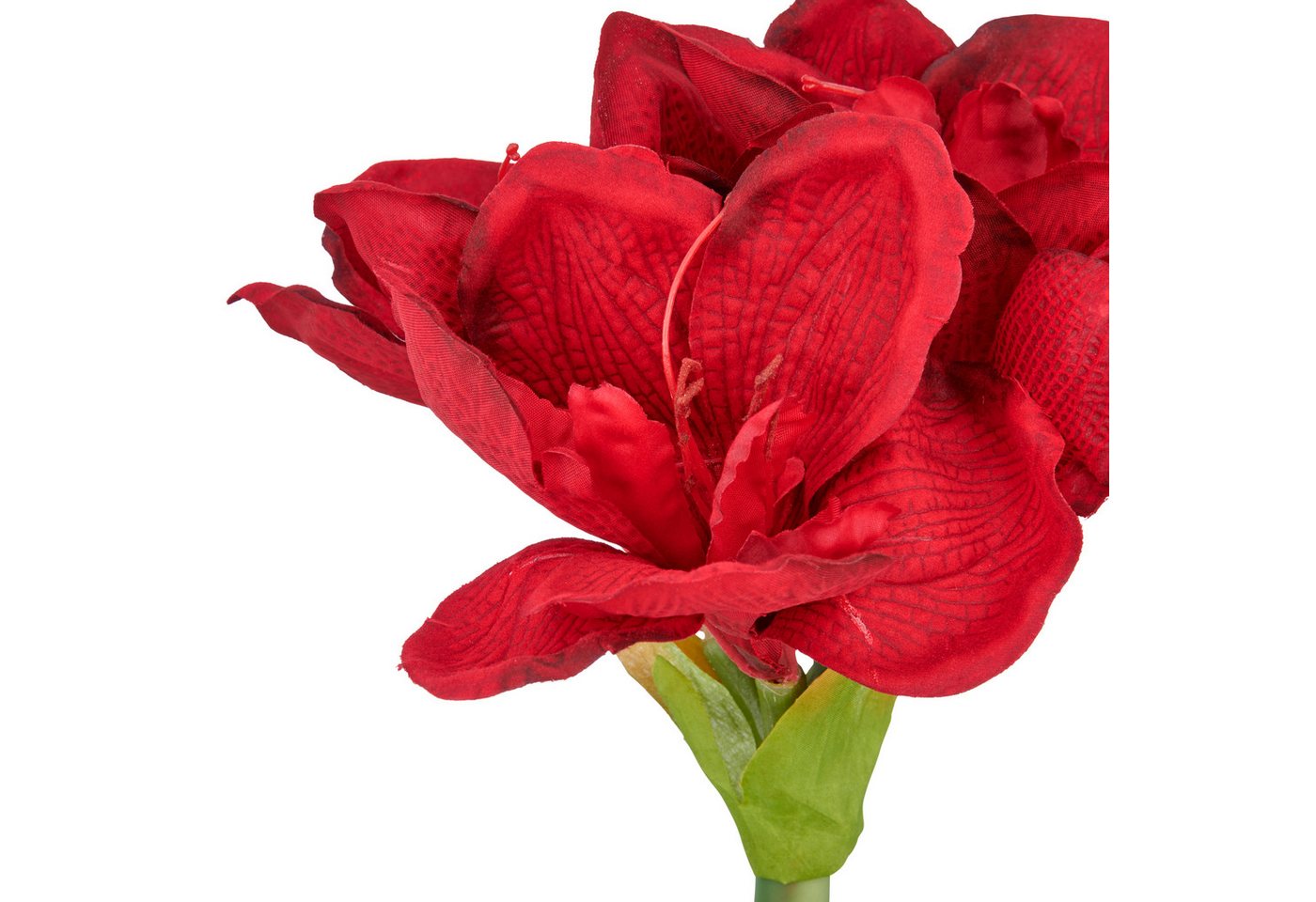 Kunstblume Amaryllis, Creativ green, Höhe 35 cm, mit traumhaft schöner Blüte – Bild 5 von 5