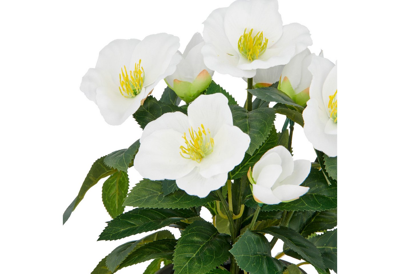 Kunstblume Christrose, Creativ green, Höhe 31 cm, mit üppiger Blütenpracht – Bild 2 von 2