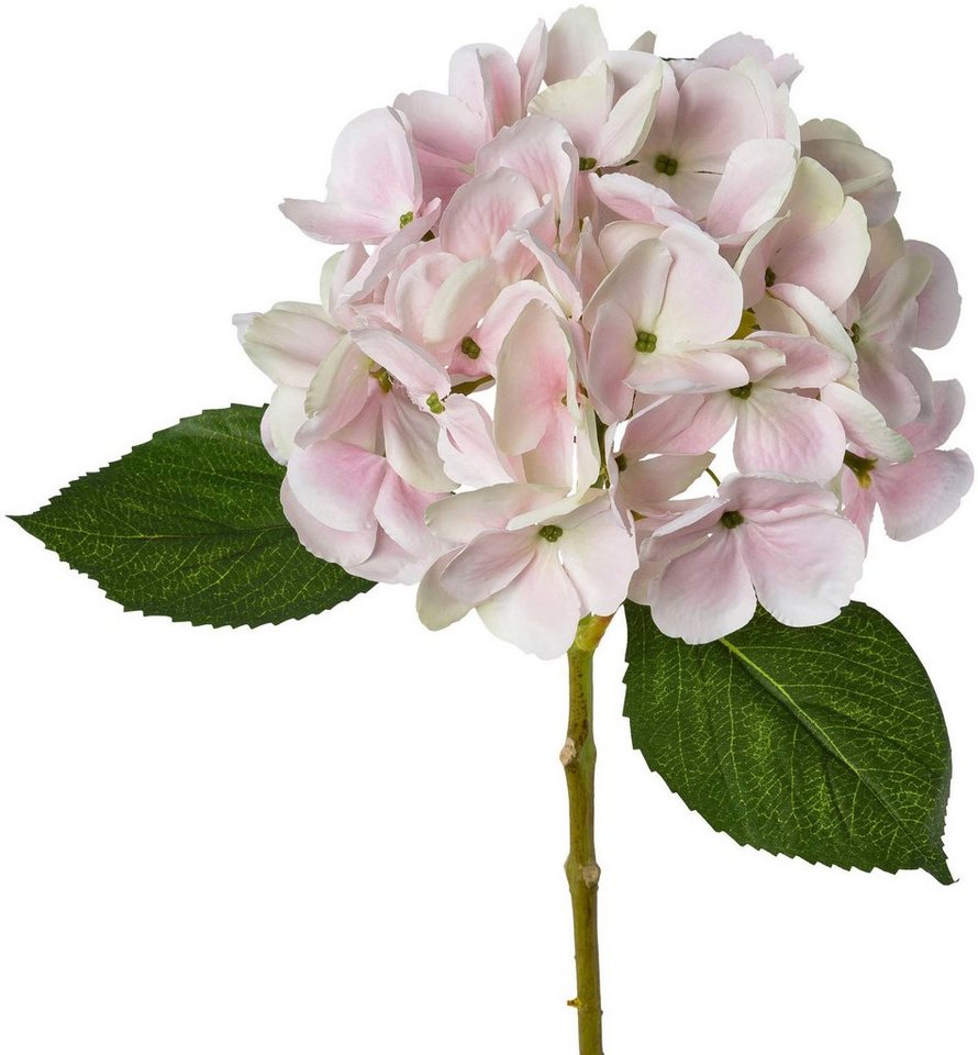 Kunstblume Hortensie Hortensie, Creativ green, Höhe 48 cm – Bild 2 von 3
