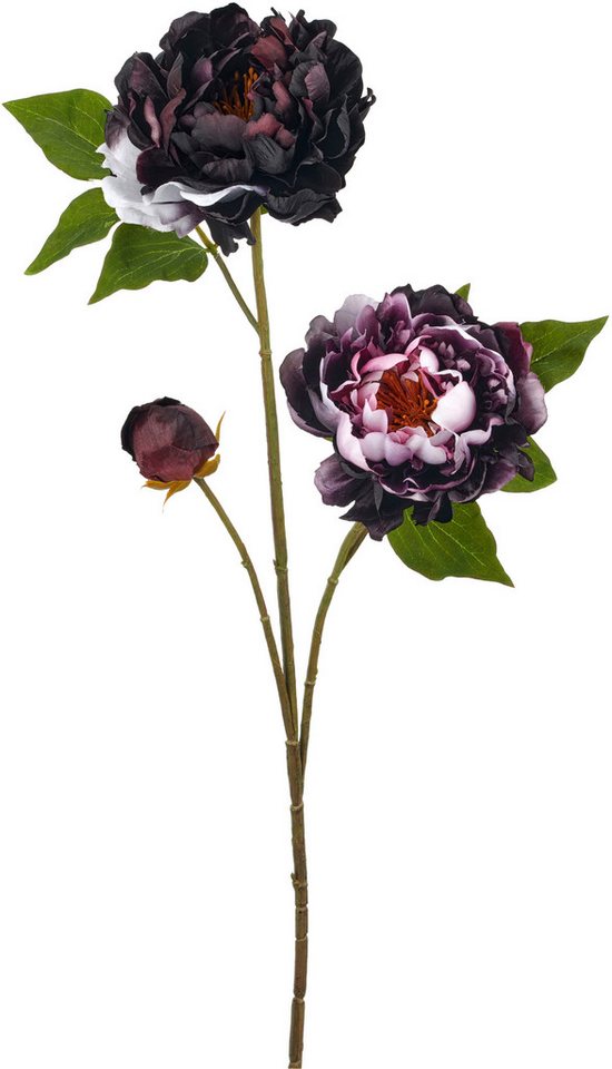 Kunstblume Peonie, Creativ green, Höhe 80 cm, mit traumhaft schöner Blüte – Bild 2 von 3