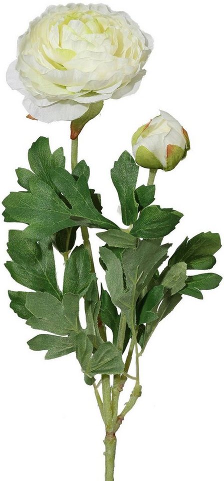 Kunstblume Ranunkel, Creativ green, Höhe 40 cm, für schöne Arrangements wie Sträuße und Gestecke – Bild 2 von 4