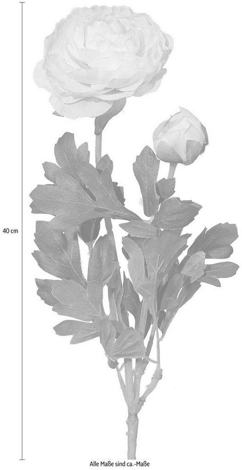 Kunstblume Ranunkel, Creativ green, Höhe 40 cm, für schöne Arrangements wie Sträuße und Gestecke – Bild 3 von 4