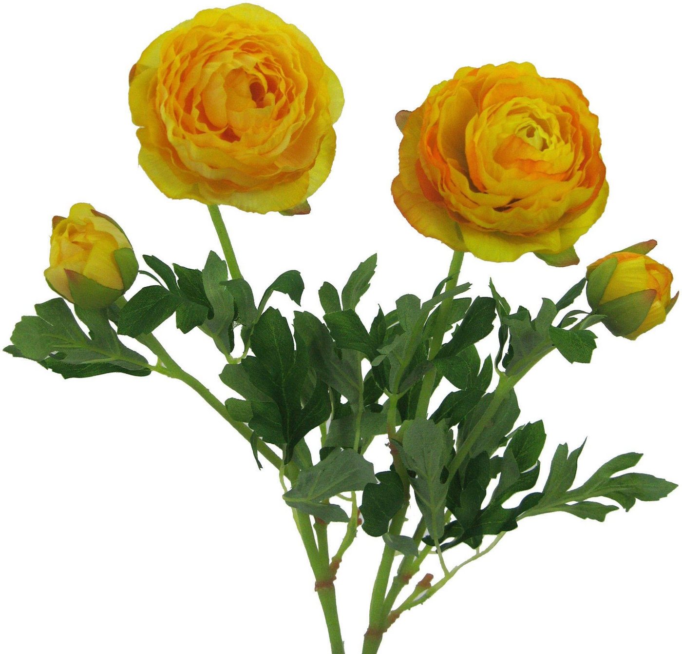 Kunstblume Ranunkel, Creativ green, Höhe 40 cm, für schöne Arrangements wie Sträuße und Gestecke – Bild 2 von 4