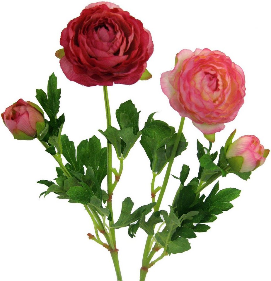 Kunstblume Ranunkel, Creativ green, Höhe 40 cm, für schöne Arrangements wie Sträuße und Gestecke – Bild 2 von 4