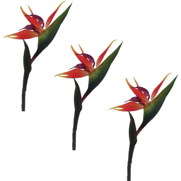 Kunstblume Strelizie Strelizie, Creativ green, Höhe 83 cm, im 3er Set