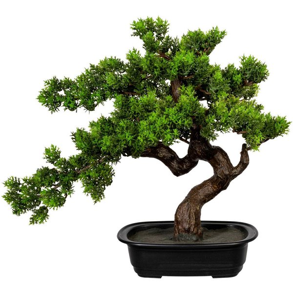 Kunstbonsai Bonsai Bonsai, Creativ green, Höhe 40 cm