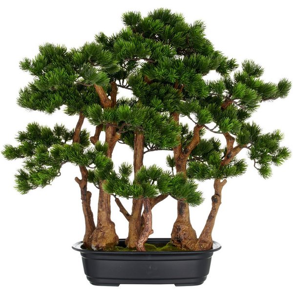 Kunstbonsai Bonsai Kiefer, Creativ green, Höhe 60 cm, mit detailgetreuer Gestaltung
