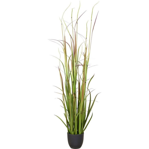 Kunstgras Grasbusch Cortaderia jubata, Creativ green, Höhe 120 cm, in toller Größe