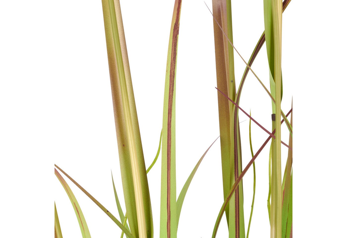 Kunstgras Grasbusch Cortaderia jubata, Creativ green, Höhe 120 cm, in toller Größe – Bild 2 von 3