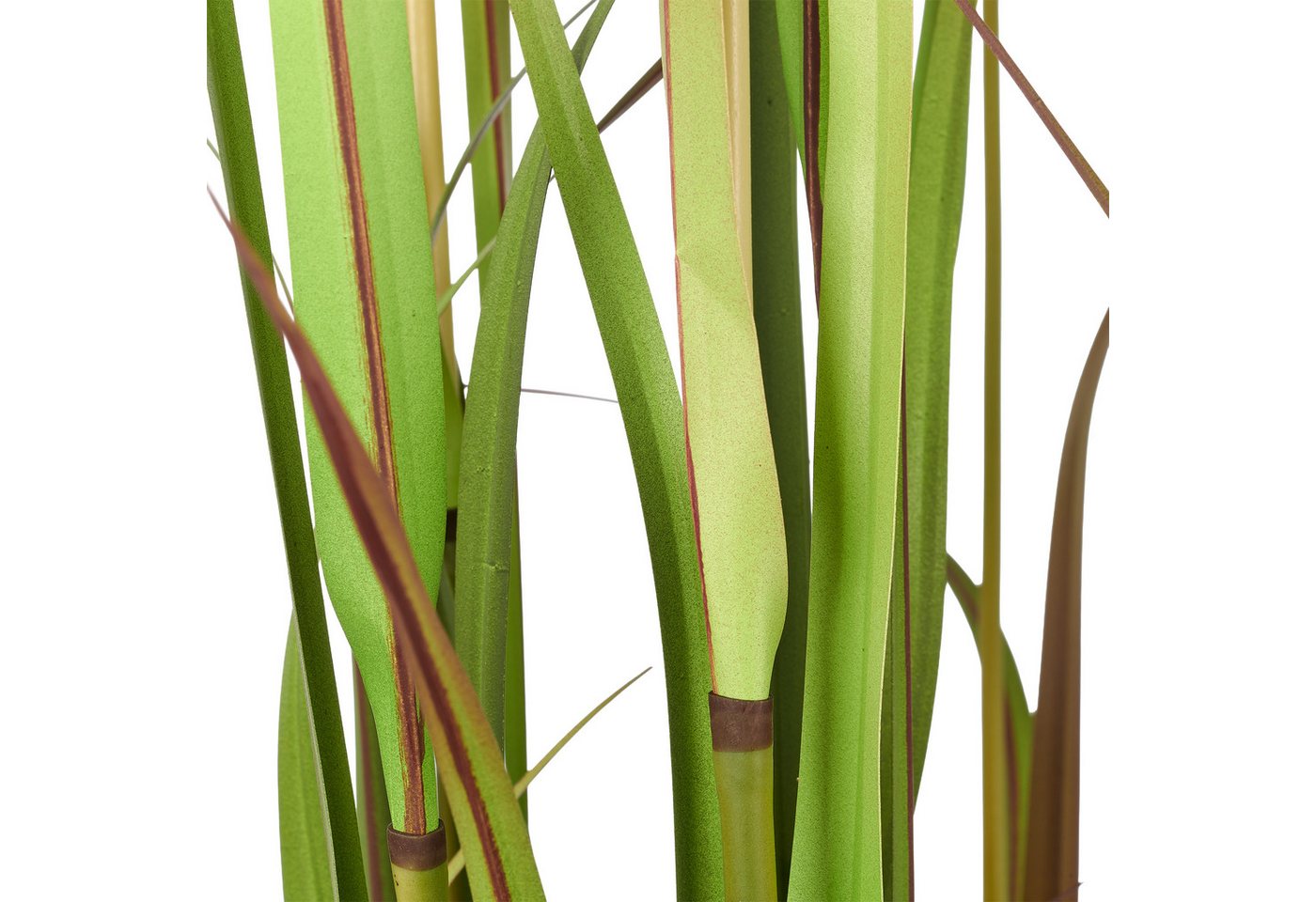 Kunstgras Grasbusch Cortaderia jubata, Creativ green, Höhe 120 cm, in toller Größe – Bild 3 von 3