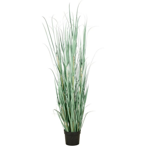 Kunstgras Grasbusch Cortaderia, Creativ green, Höhe 175 cm, in opulenter Größe