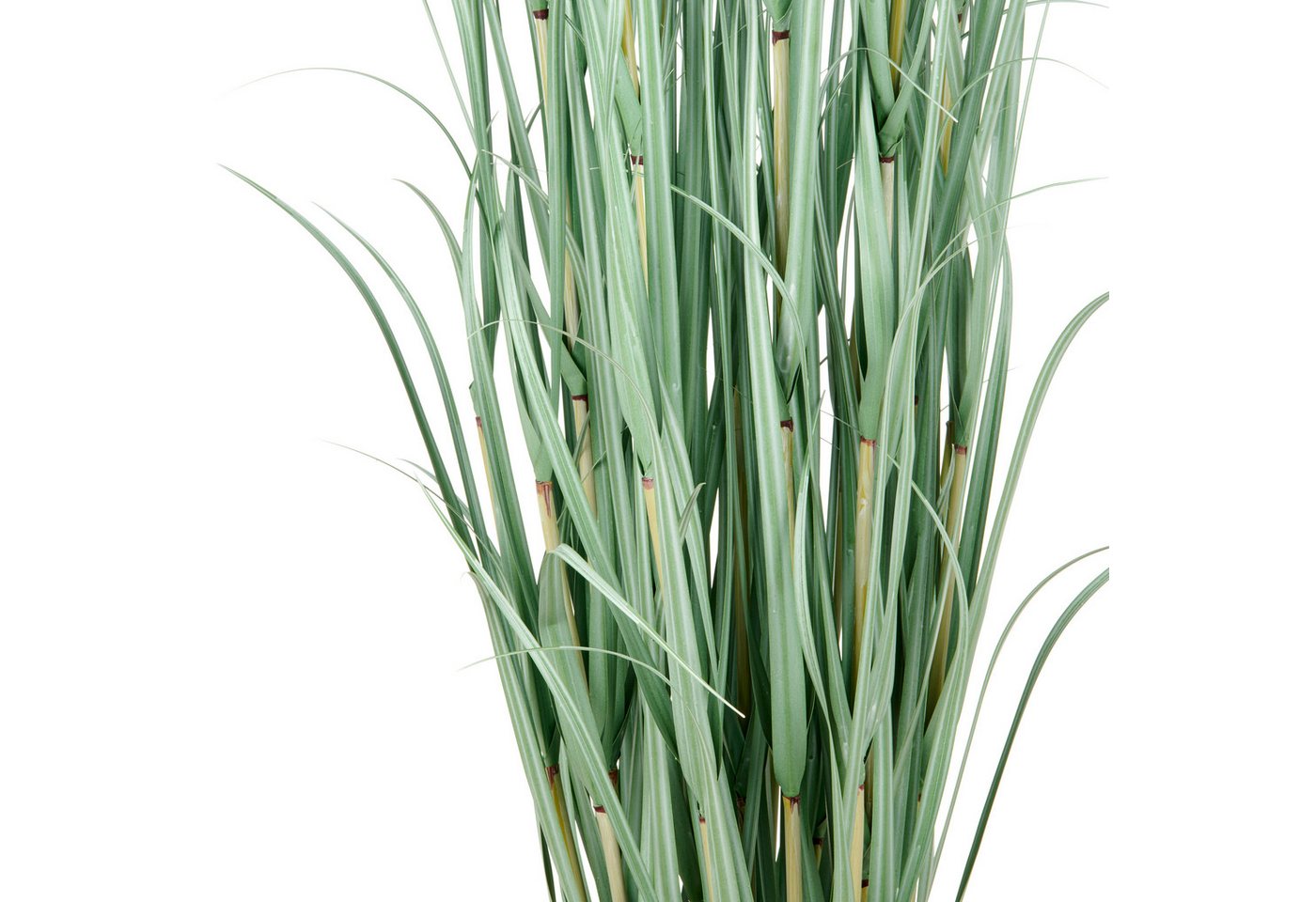 Kunstgras Grasbusch Cortaderia, Creativ green, Höhe 175 cm, in opulenter Größe – Bild 2 von 2