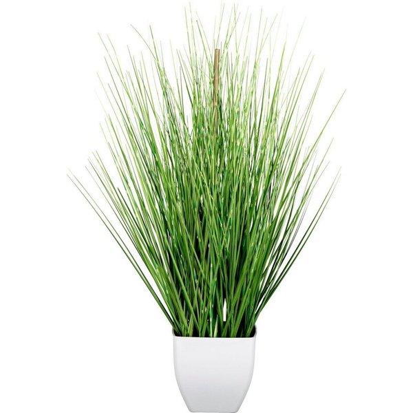 Kunstgras Grasbusch Gras, Creativ green, Höhe 59 cm, im weißen Topf