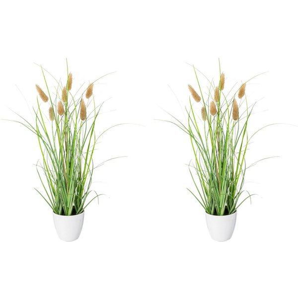 Kunstgras Grasbusch Lagurus Gras, Creativ green, Höhe 40 cm