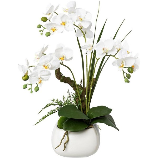 Kunstorchidee Deko-Orchidee Phalaenopsis im Keramiktopf Orchidee Phalaenopsis, Creativ green, Höhe 46 cm