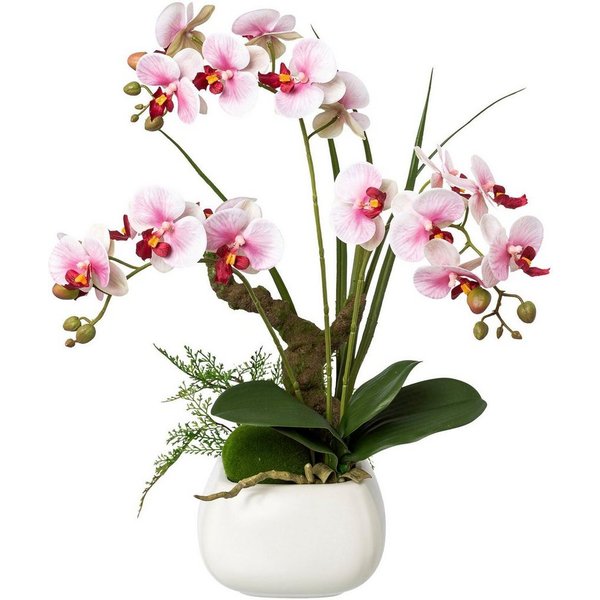 Kunstorchidee Deko-Orchidee Phalaenopsis im Keramiktopf Orchidee Phalaenopsis, Creativ green, Höhe 46 cm
