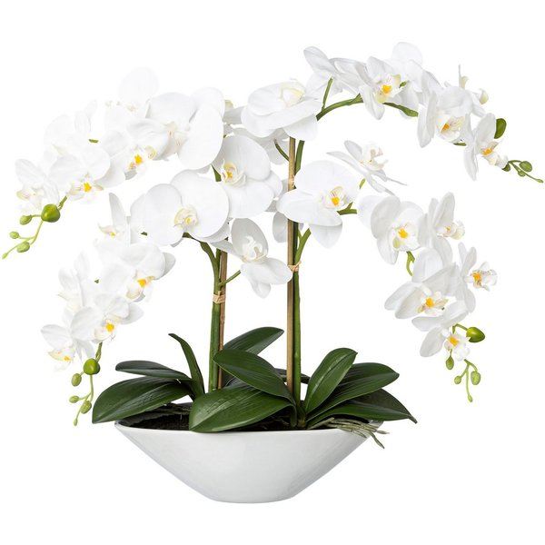 Kunstorchidee Deko-Orchidee Phalaenopsis in Keramikschale Orchidee Phalenopsis, Creativ green, Höhe 53 cm