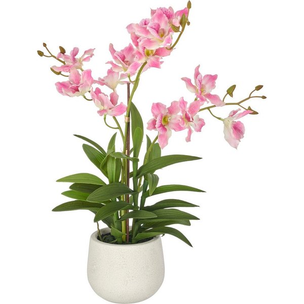 Kunstorchidee Dendrobie, Creativ green, Höhe 55 cm, mit Real-Touch-Blüten