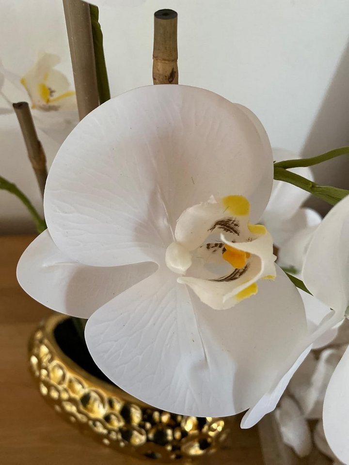 Kunstorchidee Kunstpflanze Orchidee Orchidee, Creativ green, Höhe 55.00 cm, im Keramiktopf – Bild 3 von 3