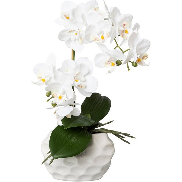 Kunstorchidee Kunstpflanze Orchidee, weiss, ca. 33 cm hoch in Keramiktopf, Creativ green