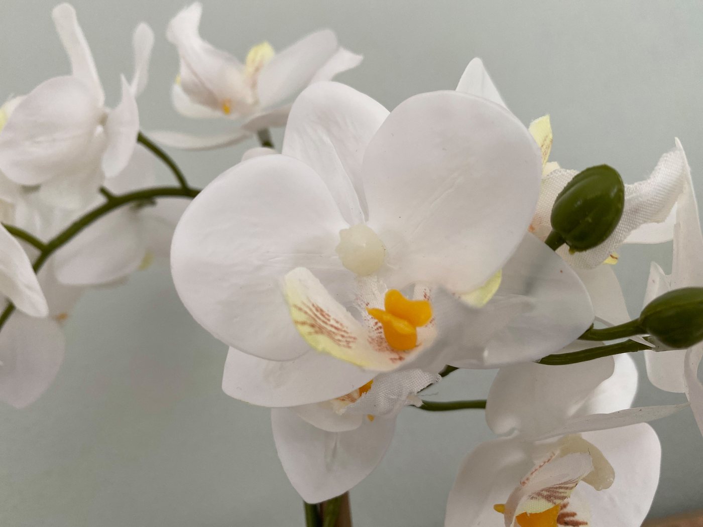 Kunstorchidee Kunstpflanze Orchidee, weiss, ca. 33 cm hoch in Keramiktopf, Creativ green – Bild 3 von 5