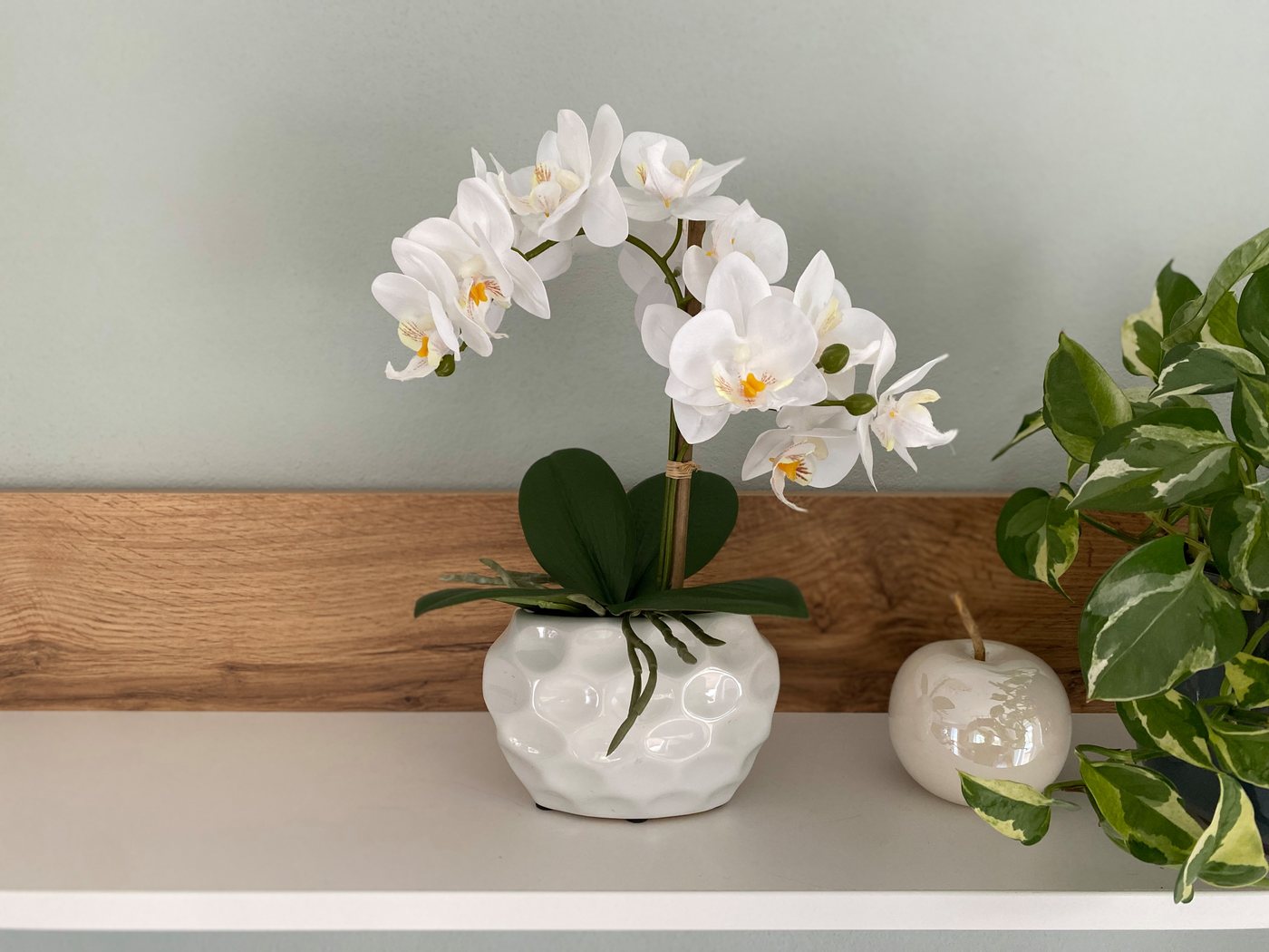 Kunstorchidee Kunstpflanze Orchidee, weiss, ca. 33 cm hoch in Keramiktopf, Creativ green – Bild 5 von 5
