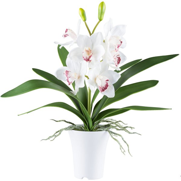 Kunstorchidee Orchidee Cymbidie, Creativ green, Höhe 53 cm, mit real-touch-Blüten