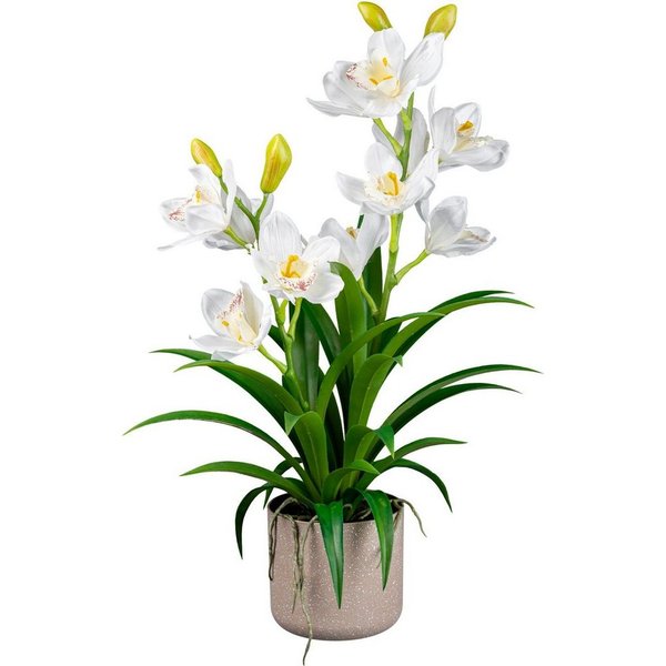 Kunstorchidee Orchidee Cymbidie Orchidee, Creativ green, Höhe 58 cm, mit traumhaft schönen Blüten