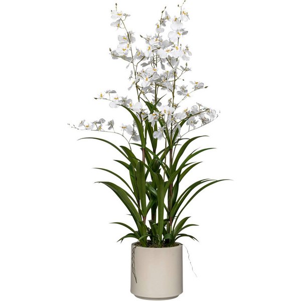 Kunstorchidee Orchidee Oncydie, Creativ green, Höhe 98 cm, im eleganten Topf