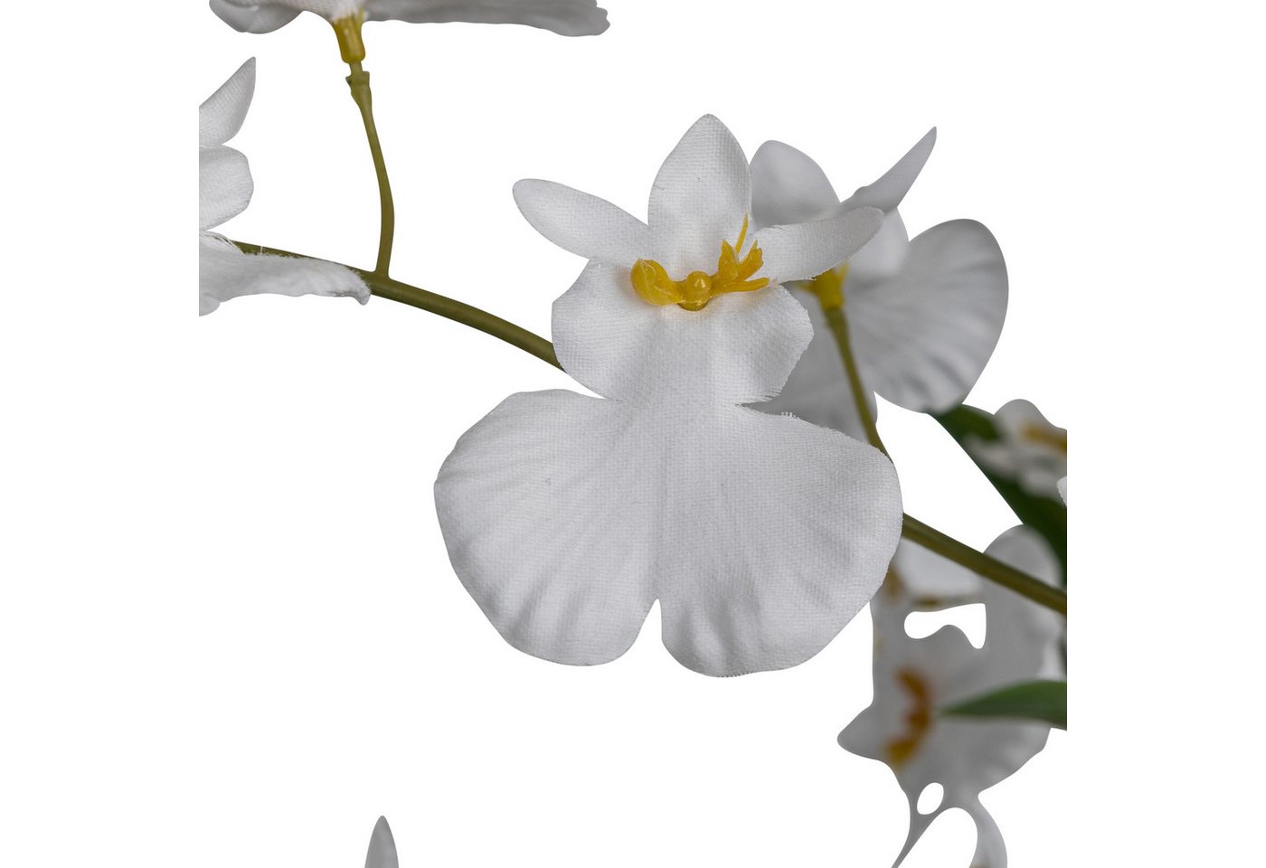 Kunstorchidee Orchidee Oncydie, Creativ green, Höhe 98 cm, im eleganten Topf – Bild 2 von 2