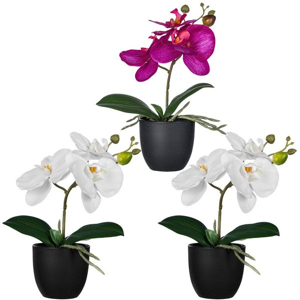Kunstorchidee Orchidee Phalaenopsis, Creativ green, Höhe 23 cm, mit naturgetreuen Blüten