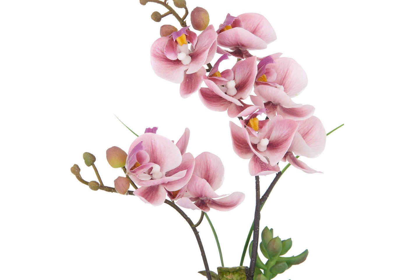 Kunstorchidee Orchidee Phalaenopsis, Creativ green, Höhe 30 cm, mit real-touch-Blüten – Bild 3 von 3